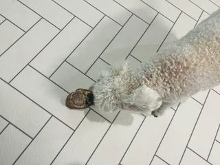 도우너님이 올린 리뷰 사진 1