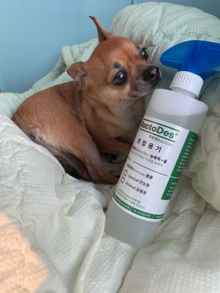 동글눈썹뚜두비님이 올린 리뷰 사진 1