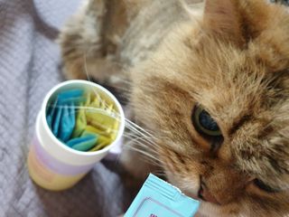옹알이님이 올린 리뷰 사진 2