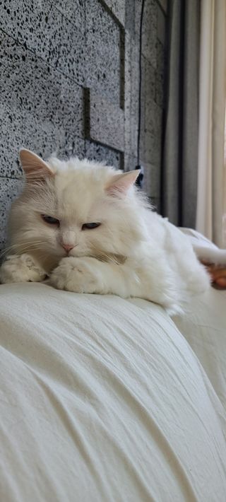 논지님이 올린 리뷰 사진 3