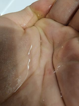 조향사 바디 앤 핸드 워시 화이트 포레스트 — 5점을 준 리뷰어가 2022년 6월 올린 사용 사진