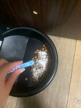 감자왕감자님이 올린 리뷰 사진 4