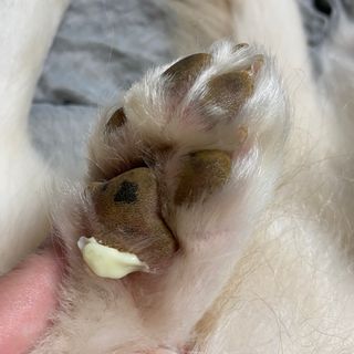 밍님이 올린 리뷰 사진 3