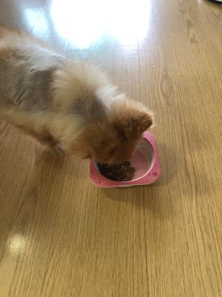 다솜다빈이아빠님이 올린 리뷰 사진 4