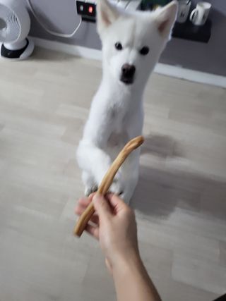 kay님이 올린 리뷰 사진 3
