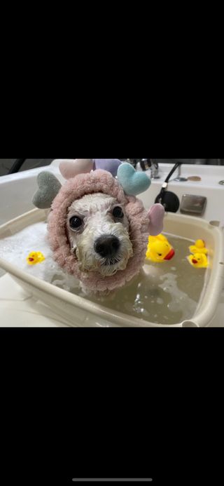 zx쏘프로님이 올린 리뷰 사진 3