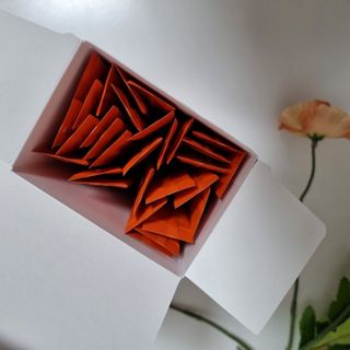 [닥터루템]맛있는 파인애플맛 과채효소 THE파이토엔자임365 1box (30포) — 5점을 준 리뷰어가 2023년 2월 올린 사용 사진