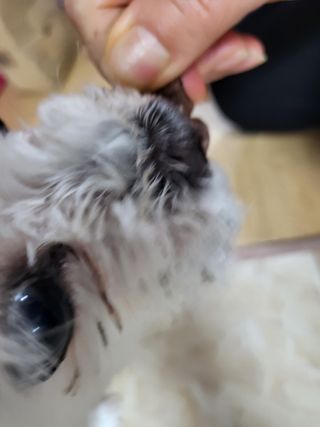 뾰로롱꼬마마녀님이 올린 리뷰 사진 1