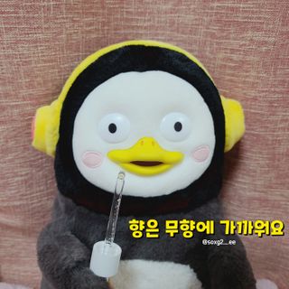 그므시라꼬님님이 올린 리뷰 사진 4