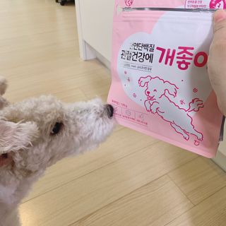 솜솜이2님이 올린 리뷰 사진 4