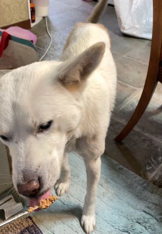 Jenny님이 올린 리뷰 사진 3
