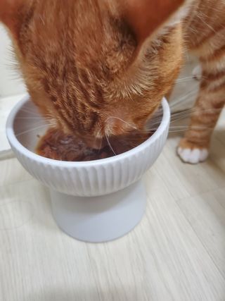 탱탱볼님이 올린 리뷰 사진 1