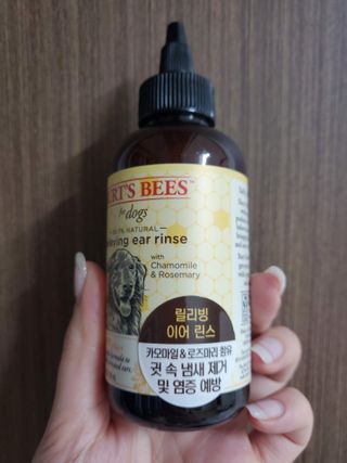 버츠비 케어플러스 릴리빙 이어린스 — 5점을 준 리뷰어가 2021년 6월 올린 사용 사진