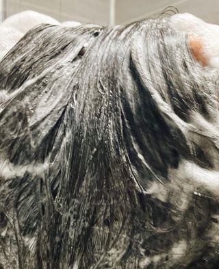 잰이님이 올린 리뷰 사진 4