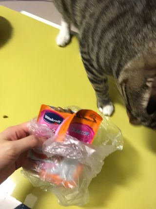 비타크래프트 포에시 델리스 고양이 파우치 85g 9가지맛 1팩씩 — 5점을 준 리뷰어가 2021년 8월 올린 사용 사진