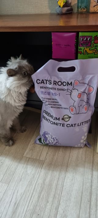 겟플렉스 켓플렉스 캣츠룸BS-1 고양이모래 4kg — 5점을 준 리뷰어가 2021년 3월 올린 사용 사진