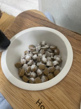 My Pet Care 모발과 모질 피부건강에 개좋아 — 5점을 준 리뷰어가 2021년 4월 올린 사용 사진