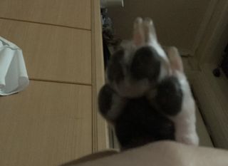 빙빙이님이 올린 리뷰 사진 2