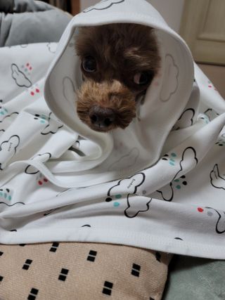 나초단맘님이 올린 리뷰 사진 3