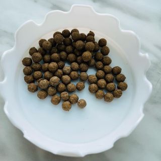 쪼앙님이 올린 리뷰 사진 2