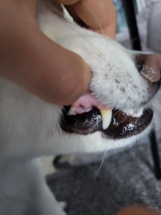 kay님이 올린 리뷰 사진 2