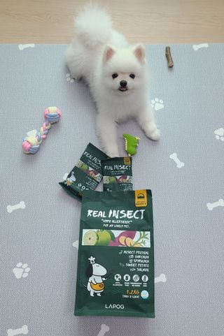 한지수님이 올린 리뷰 사진 1
