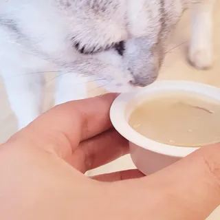 PDKIM님이 올린 리뷰 사진 3