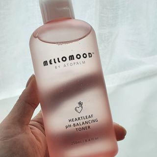애공님이 올린 리뷰 사진 2