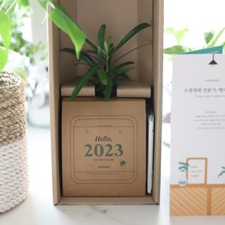 [메이크정글] 식물과 달력이 하나로, 2023년 식물캘린더 No.1 — 5점을 준 리뷰어가 2022년 10월 올린 사용 사진