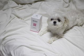 희온느님이 올린 리뷰 사진 4