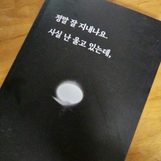 가을봉숙 정말잘지내나요사실난울고있는데 — 5점을 준 리뷰어가 2023년 2월 올린 사용 사진
