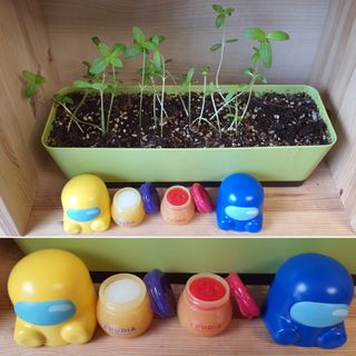 [후르디아] 올리브영 꿀과즙 립밤 2종 (블루베리/석류) — 5점을 준 리뷰어가 2022년 1월 올린 사용 사진