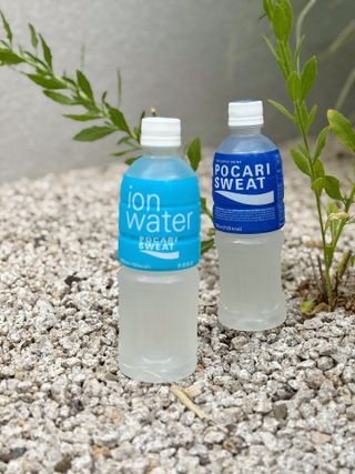 [동아오츠카] 포카리스웨트  500ml PET + 이온워터 500ml PET — 5점을 준 리뷰어가 2025년 6월 올린 사용 사진