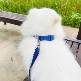 써니곰님이 올린 리뷰 사진 3