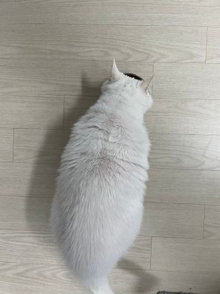 Ssung님이 올린 리뷰 사진 2
