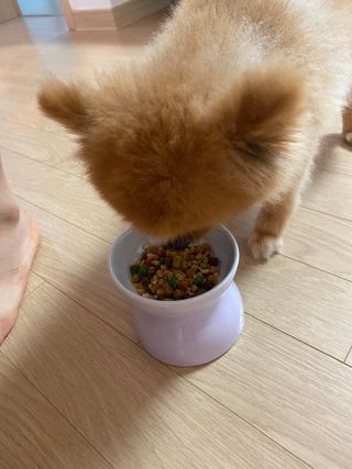 멍쉐프의 레시피 볶음밥 — 5점을 준 리뷰어가 2021년 7월 올린 사용 사진