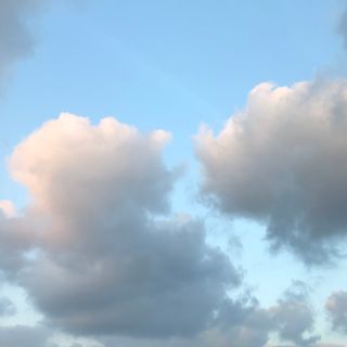 최정민님이 올린 리뷰 사진 2