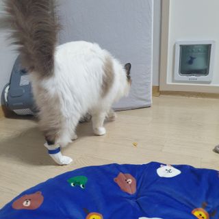 third29님이 올린 리뷰 사진 4