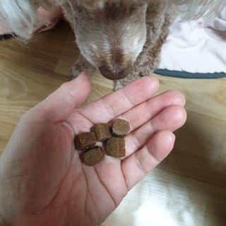 🐕삐딱이💖💖💖님이 올린 리뷰 사진 3