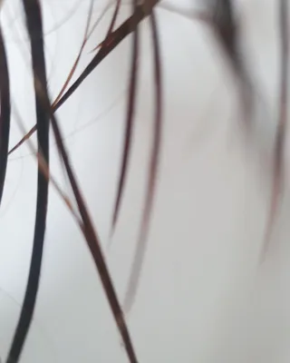 퐁구02님이 올린 리뷰 사진 4