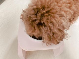 연이님이 올린 리뷰 사진 3