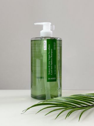 닥터시드 티트리 앤 라임 비건 지성케어 쿨 탈모 샴푸 (1000ml) — 5점을 준 리뷰어가 2023년 12월 올린 사용 사진