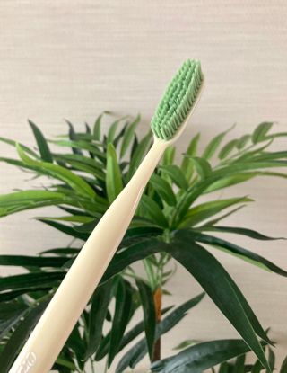 칸쵸동동님이 올린 리뷰 사진 2