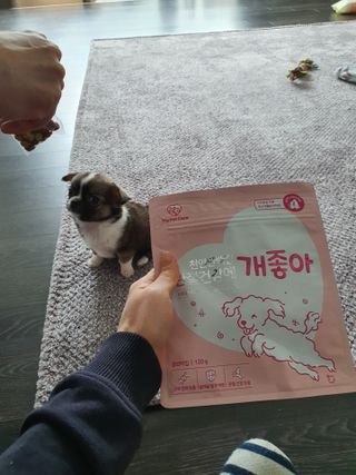 gabin730님이 올린 리뷰 사진 1