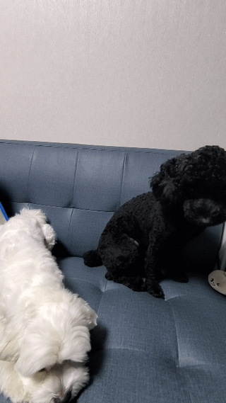 토르헐크님이 올린 리뷰 사진 3