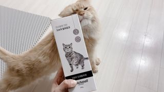 바초라떼님이 올린 리뷰 사진 1