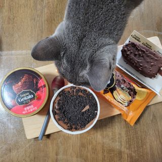 롯데제과 본젤라또 비스킷&바닐라카라멜바, 본젤라또 베리쇼콜라컵 — 5점을 준 리뷰어가 2021년 12월 올린 사용 사진