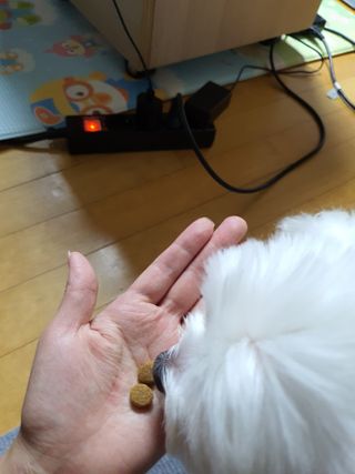 단츄♡님이 올린 리뷰 사진 4