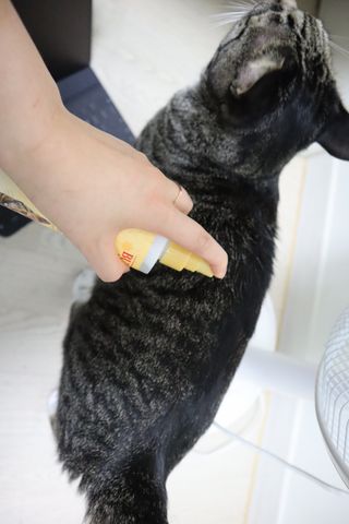 버츠비 캣 댄더 리듀싱 스프레이 — 5점을 준 리뷰어가 2021년 5월 올린 사용 사진