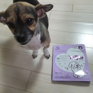 My Pet Care 천연단백질 치아건강에 개좋아 — 5점을 준 리뷰어가 2021년 2월 올린 사용 사진